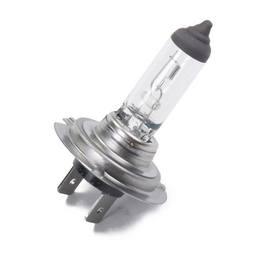 Light Bulb (H7) (12V 55W)